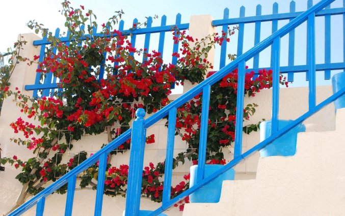 Trap van Aparthotel Nissia Kamares