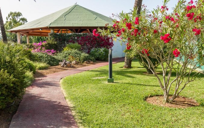 Tuin van Hotel EIX Lagotel op Mallorca