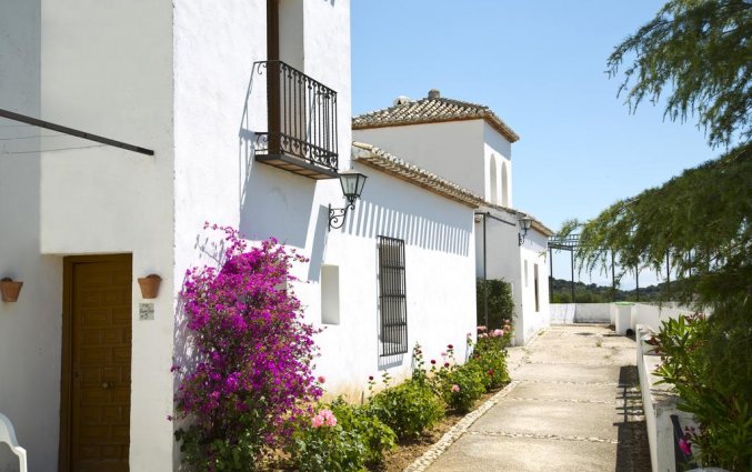 Complex van Hotel Villa de Priego de Córdoba in Andalusie