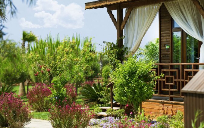 Hotel Flora Garden Beach in Side