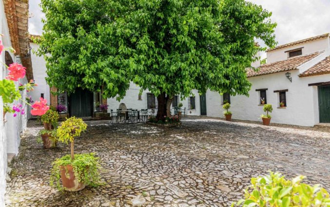 Binnenplaats El Horcajo