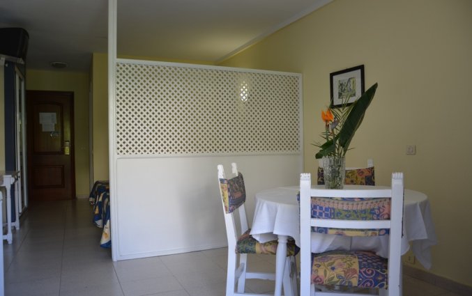 Studio van Studio's Pez Azul op Tenerife