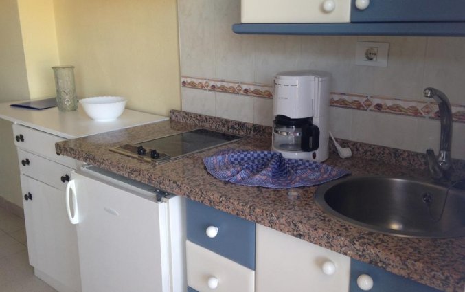 Studio van Studio's Pez Azul op Tenerife