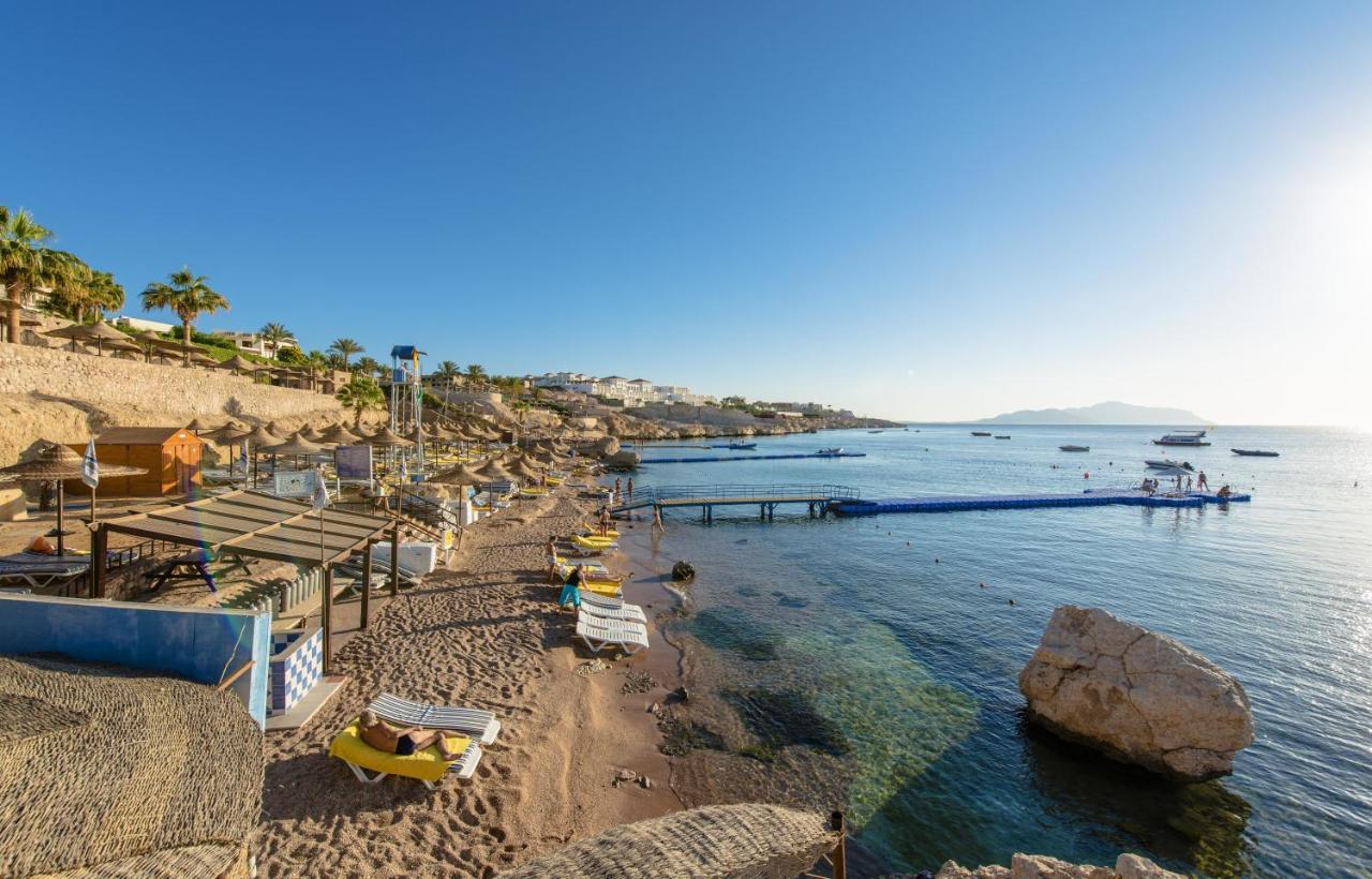 concorde el salam steiger