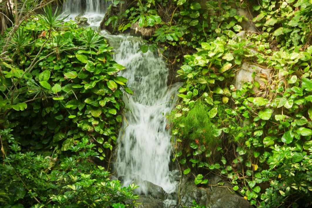 Adrian Hoteles Jardines de Nivaria