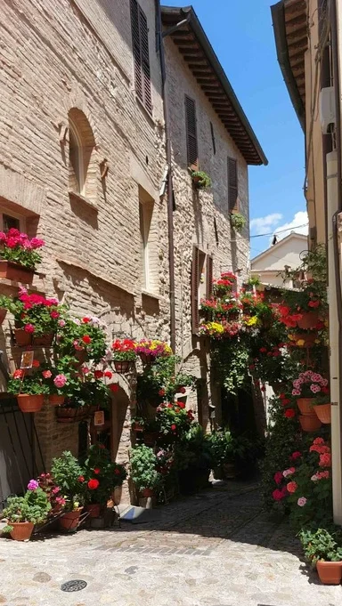 umbria streetwithflowers