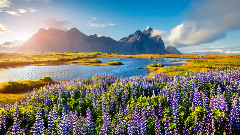 Golden Circle Rondreis IJsland