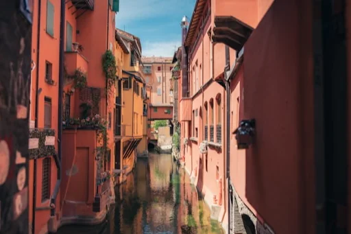 Bolgonastreet