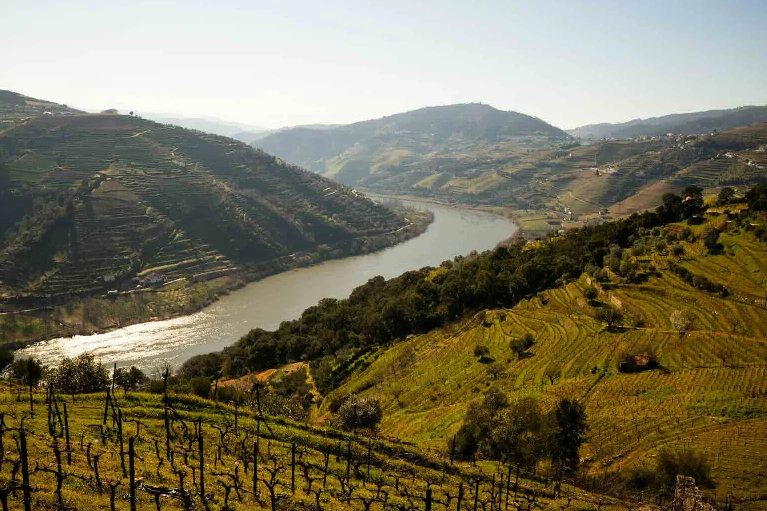 wineyardsportugal