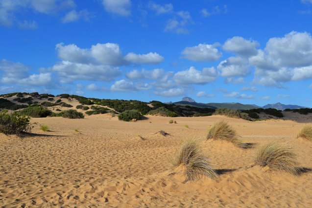 Sardinië - Duinen