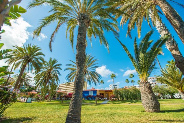 Tuin van Bungalows Miraflor Suites op Gran Canaria